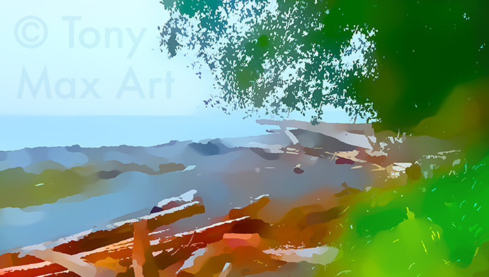 "Driftwood Collection – Close-up" – fine art prints of B. C. by printmaker Tony Max