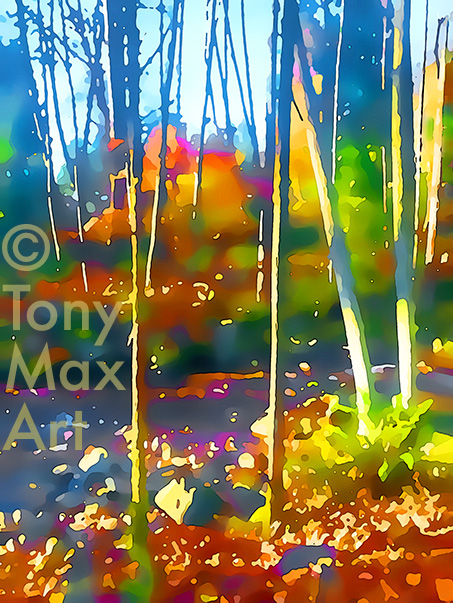"Fall Patterns by a Creek" –  Canadian landscape art prints by artist Tony Max
