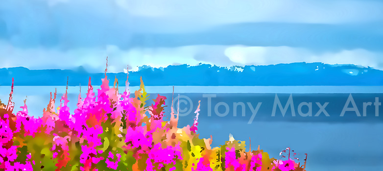 "Fireweed by the Shore – Panorama" – British Columbia art by Tony Max