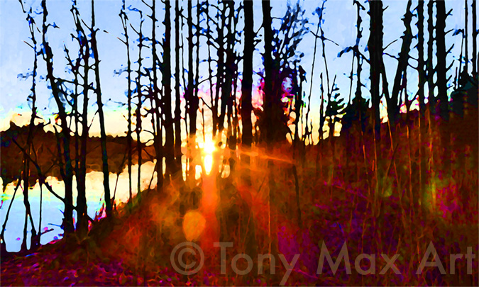 Fraser Light – Through the Trees – Fraser River art and Coquitlam art by artist Tony Max