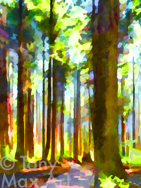 "Sun-Dappled Forest – Mid-Height" –  British Columbia visual art prints by artist Tony Max