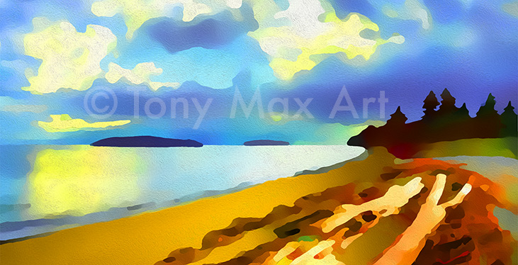 "Sunlit Driftwood – Closeup Long" – Sunshine Coast paintings by painter-artist Tony Max