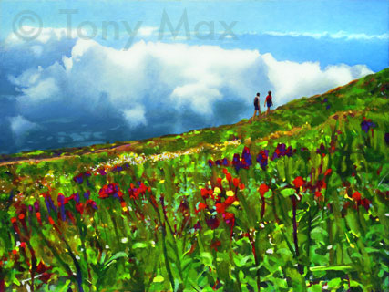Alpine Meadow -  British Columbia Art prints by Tony Max