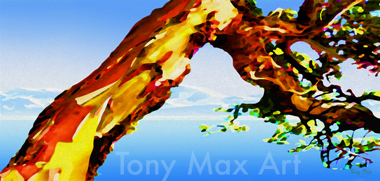 "Arbutus – High Point" – arbutus painting by BC painter Tony Max