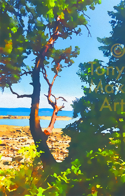 "Arbutus Undergrowth – Tall and Thin" – arbutus art by artist Tony Max
