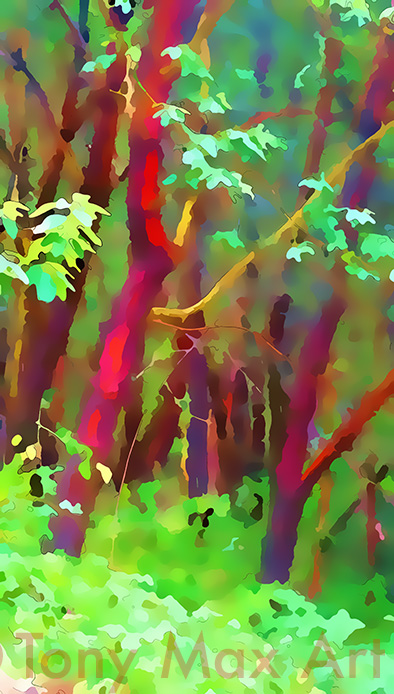 "Arbutus Woods in the Rain" – BC art by artist Tony Max