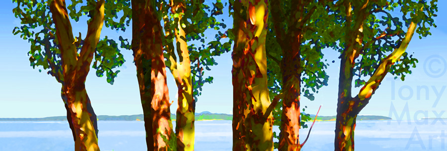"Arbutus on a Clear Day" – arbutus art prints by fine artist Tony Max