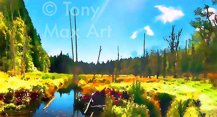 "Bowen Pond – Panorama" – British Columbia art by Canadian artist Tony Max