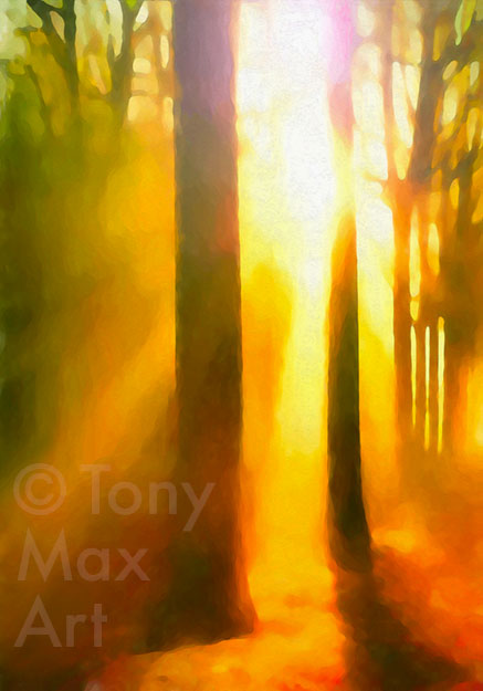 "Cathedral Grove" – British Columbia art by artist Tony Max