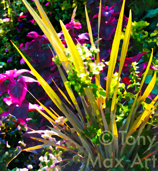 "Coleus and Iris Leaves" – Tony Max floral art