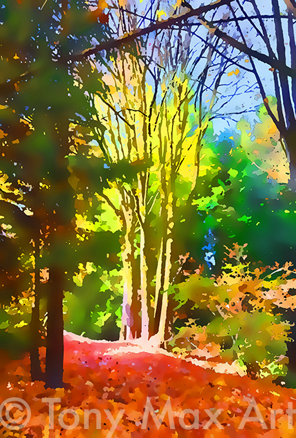 "Contrasting Autumn Trees- British Columbia giclees by Tony Max