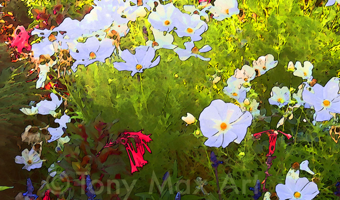 "Cosmos, Fuschsia and Salvia" – floral art by painter Tony Max