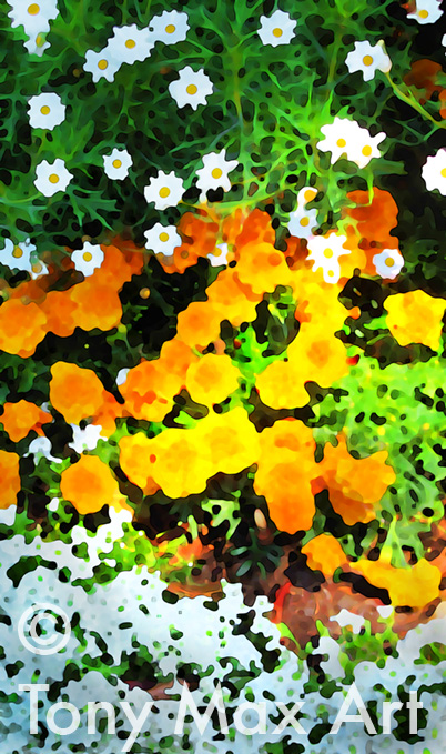"Daisies, Marigold and Candytuft" - Tony Max floral art
