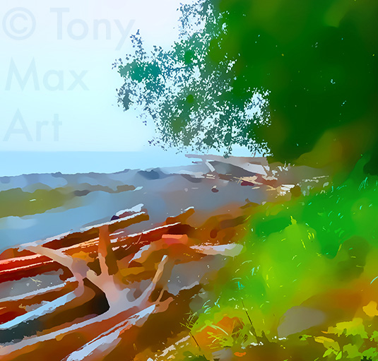 "Driftwood Collection – Almost Square" – art of British Columbia by artist Tony Max
