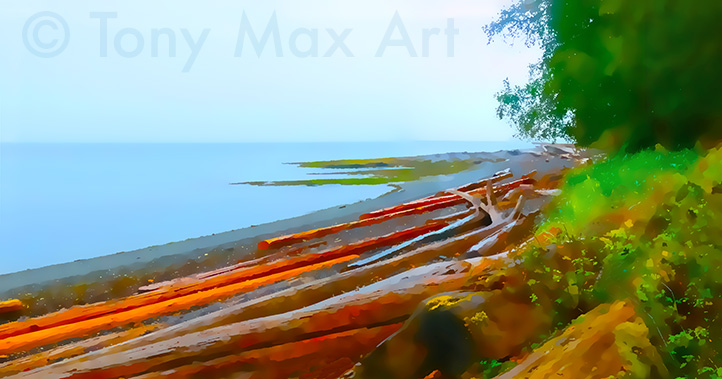 "Driftwood Collection – Panorama" – British Columbia coastal art by artist Tony Max