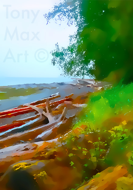 Driftwood Collection – Vertical – British Columbia art by painter Tony Max