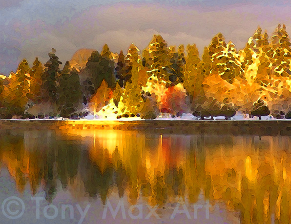 Fall Gold and Snow Close-up – Vancouver art by Tony Max
