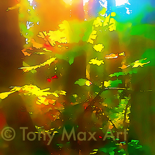 "Forest Kaleidoscope" - Nature art prints by Canadian artist Tony Max