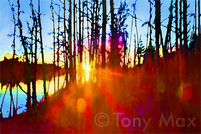 "Fraser River – Through the Trees" – Fraser River art and Coquitlam art by artist Tony Max