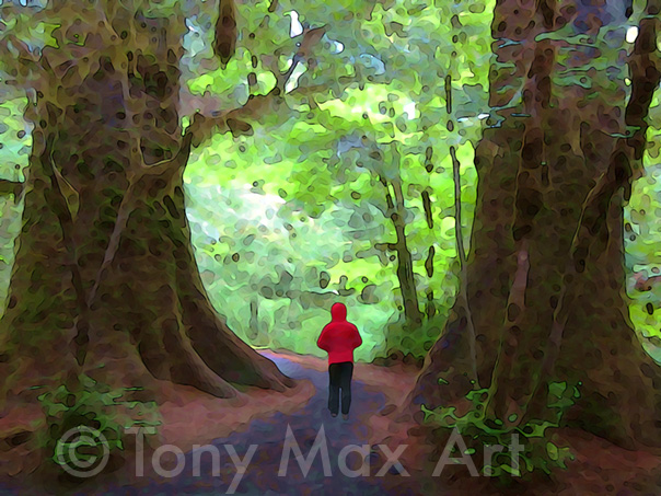 "In the Forest of Giants" – Pacific Northwest paintings by Tony Max