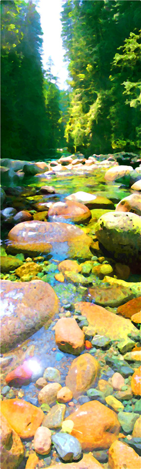 Lynn Creek - Colourful Stones-  British Columbia art prints by artist Tony Max