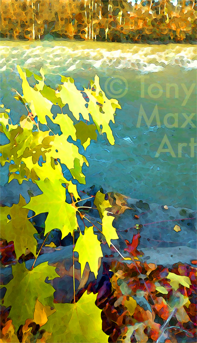 Maple and Green-Gold Creek  - BC art prints by artist Tony Max