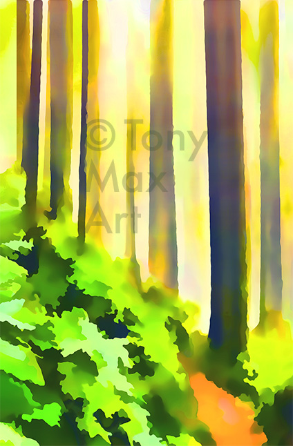 "Misty Woods Trail" – British Columbia art by artist Tony Max