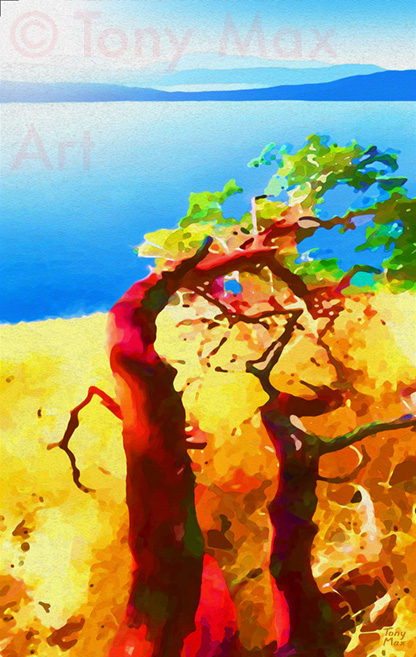 "Mountaintop Magnificence" – B.C. Gulf Islands art by artist Tony Max