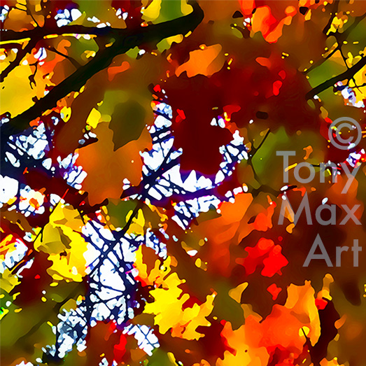 "Oak – Fall Skyward Mosaic"- Autumn limited edition art by Canadian artist Tony Max