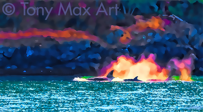 "Orcas 1" - British Columbia art by artist Tony Max