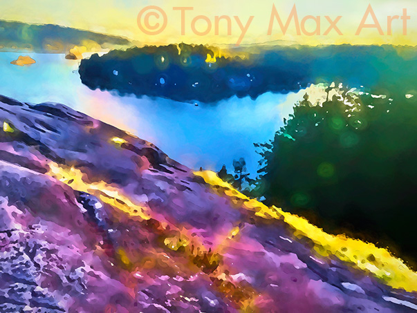 "Quarry Rock Lookout 1"  – North Vancouver art by Tony Max artist