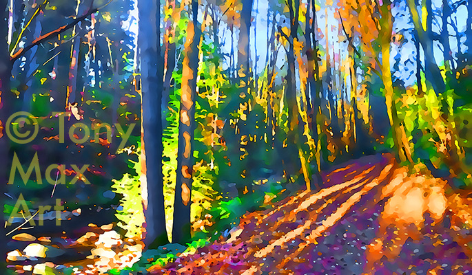 "Quiet Creek Walk – Horizontal" – British Columbia fine art by artist Tony Max