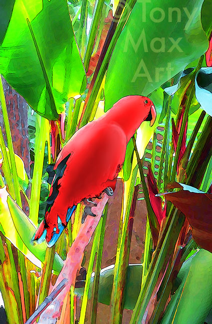 Red Parrot Looking Right – Nature art by artist Tony Max