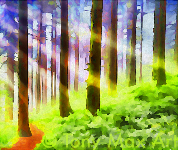 Sun Rays in Still Forest – British Columbia paintings by Tony Max