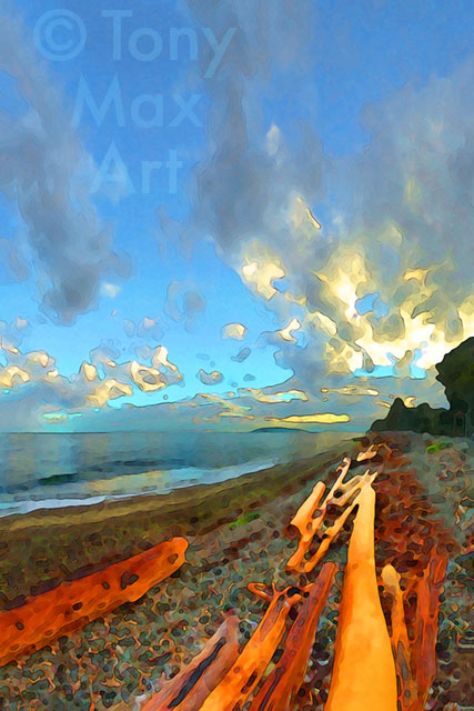 Sunlit Driftwood - Center Focus – Sunshine Coast art by Tony Max