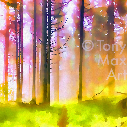 "Sunny, Foggy Trail – Square" - British Columbia art by artist Tony Max