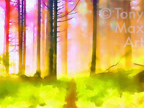 "Sunny, Foggy Trail" –  British Columbia art by artist Tony Max