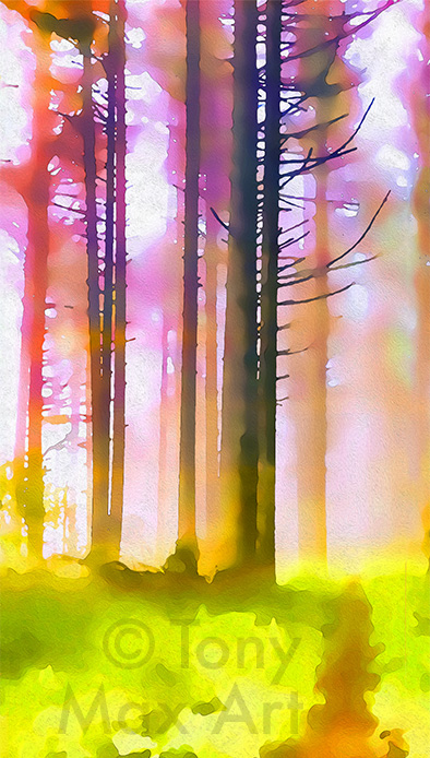 "Foggy, Sunny Trail – Tall" – fine art prints of B. C. by printmaker Tony Max
