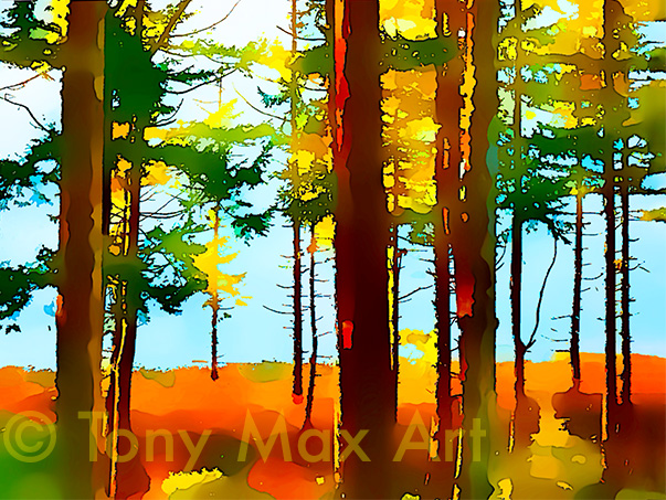 "Tall, Fall Forest" –  British Columbia art by artist Tony Max