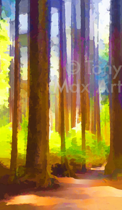 "Misty Forest Trail (Tall)" – nature fine art by artist Tony Max