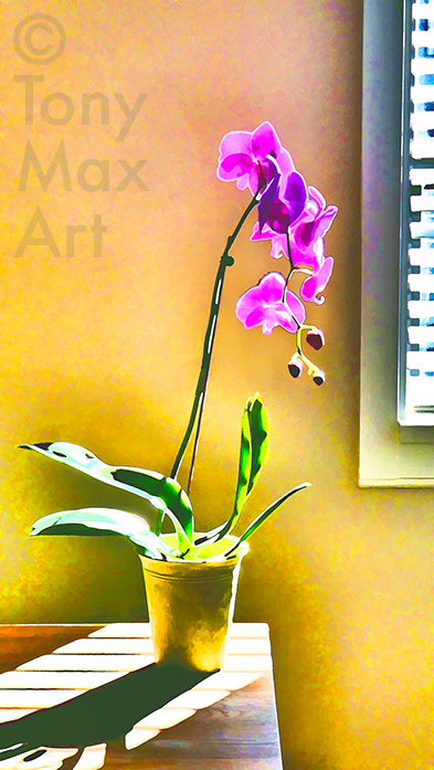 "Violet Orchid by Window 3" – still life art by artist Tony Max
