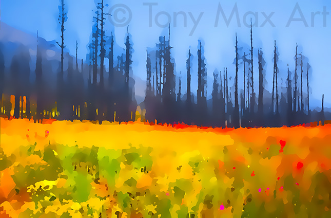"Wild Valley Field – Horizontal" – Contemporary Canadian landscape art by artist Tony Max