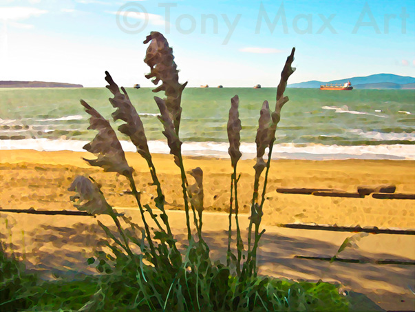 "Windblown Grasses"  - Vancouver paintings by artist Tony Max