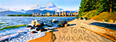tony max art (Kitsilano Beach)